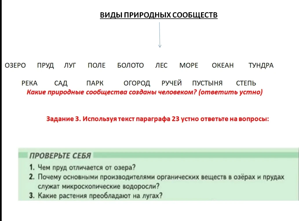 Какие природные сообщества созданы человеком?