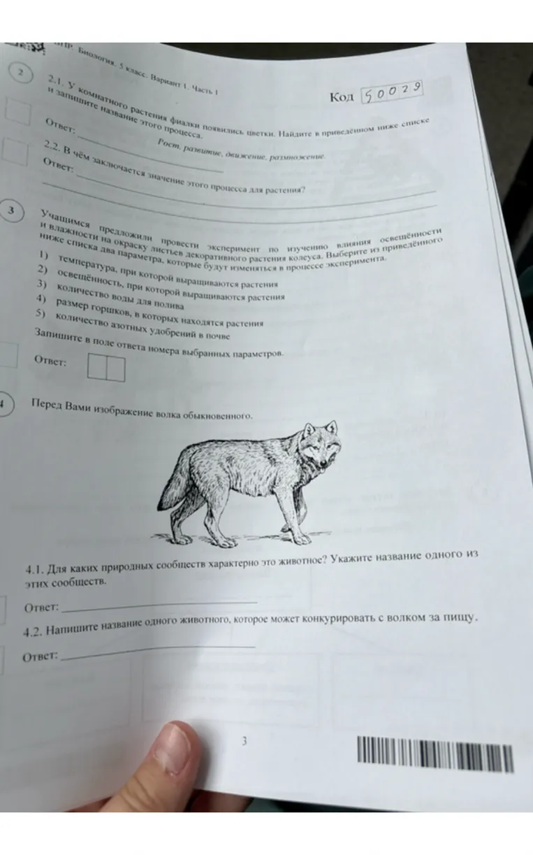 2.1. У комнатного растения фиалки появились цветки. Найдите в приведённом ниже списке и запишите название этого процесса.