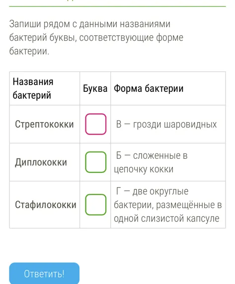 Запиши рядом с данными названиями бактерий буквы, соответствующие форме бактерии.