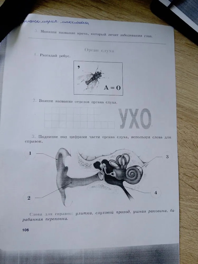 Напиши название врача, который лечит заболевания глаз.