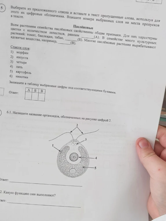 Выберите из предложенного списка и вставьте в текст пропущенные слова, используя для этого их цифровые обозначения.