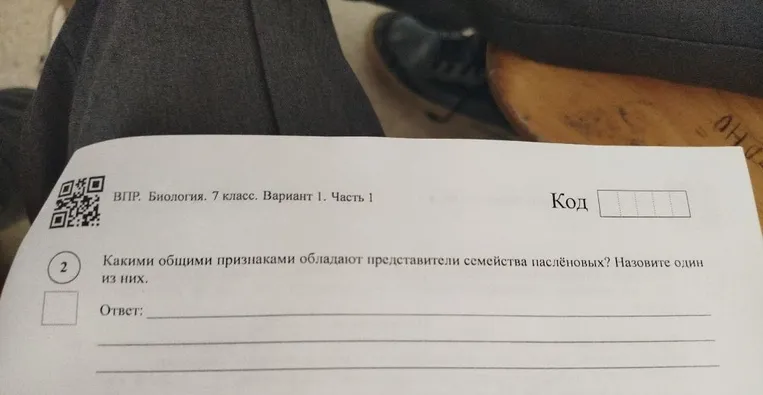 Какими общими признаками обладают представители семейства паслёновых? Назовите один из них.
