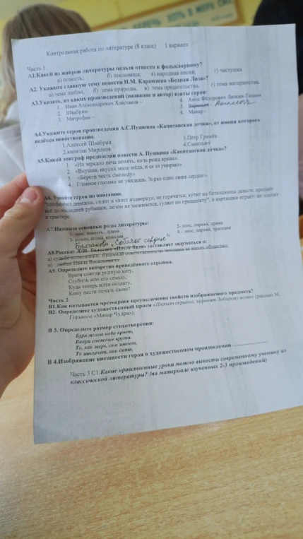 Контрольная работа по литературе (8 класс) 1 вариант