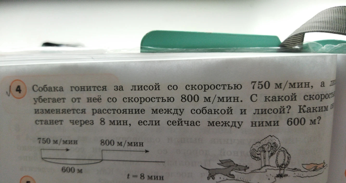 Собака гонится за лисой со скоростью 750 м/мин, а лиса убегает от неё со скоростью 800 м/мин. С какой скоростью изменяется расстояние между собакой и лисой? Каким оно станет через 8 мин, если сейчас между ними 600 м?