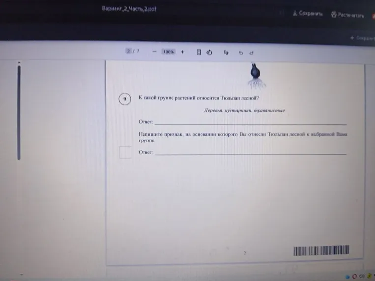 К какой группе растений относится Тюльпан лесной? Деревья, кустарники, травянистые