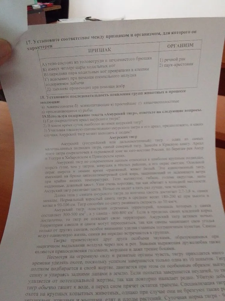 17. Установите соответствие между признаком и организмом, для которого он характерен