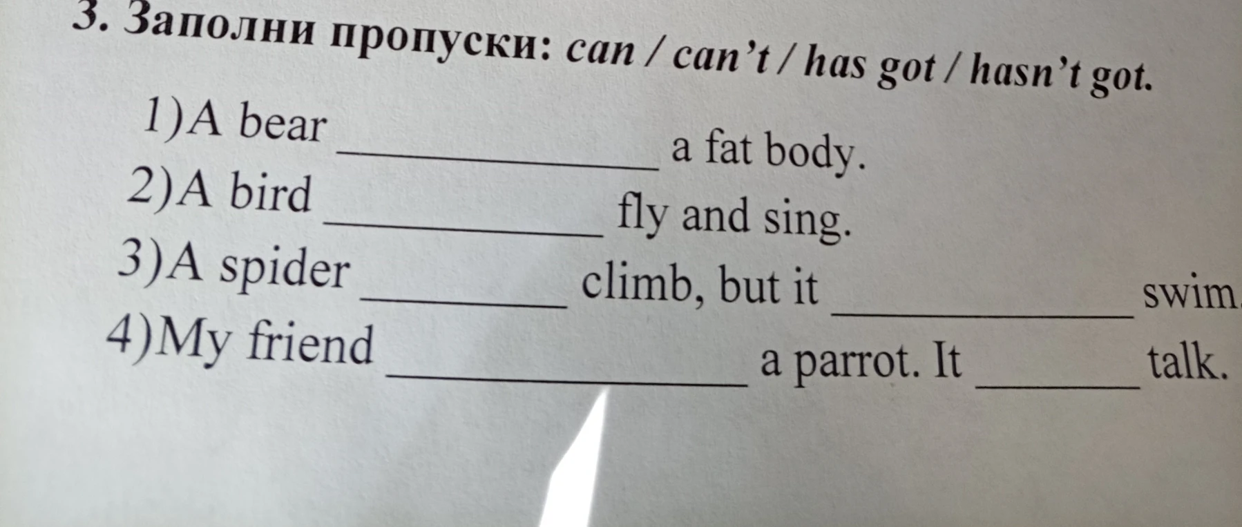 Заполни пропуски: can / can't / has got / hasn't got.