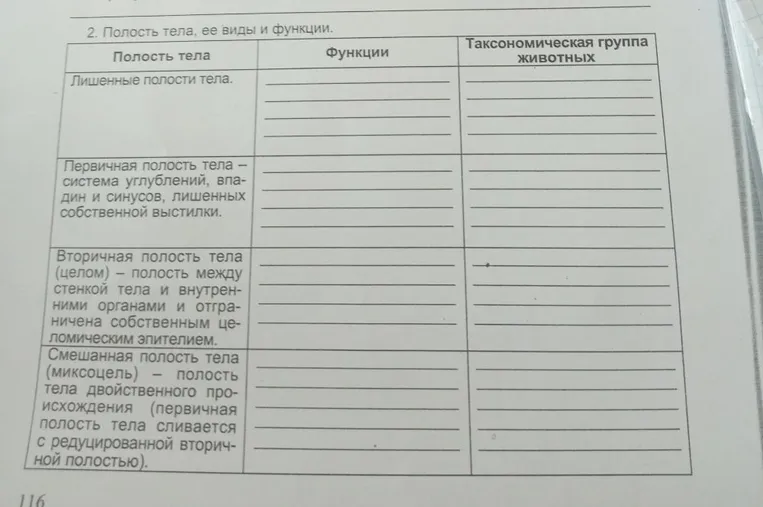2. Полость тела, ее виды и функции.