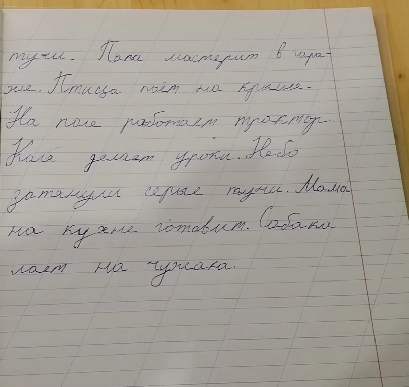 На изображении записан текст: «Папа мастерит в гараже. Птица поет на крыше. На поле работает трактор. Катя делает уроки. Небо затянули серые тучи. Мама на кухне готовит. Собака лает на чужака.»