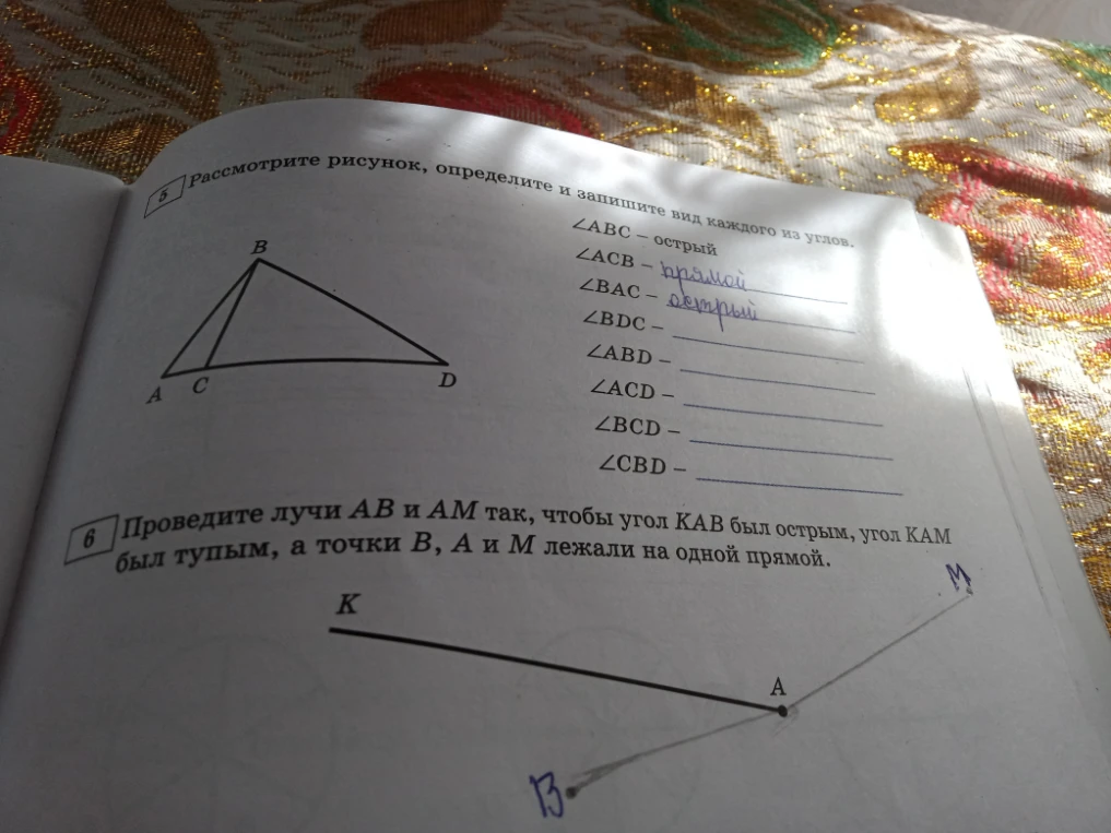 Рассмотрите рисунок, определите и запишите вид каждого из углов.