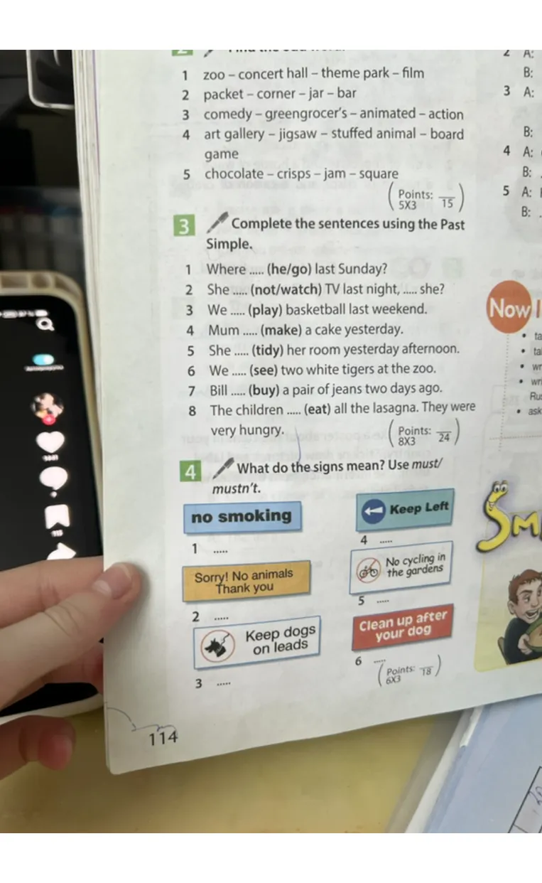 Complete the sentences using the Past Simple.