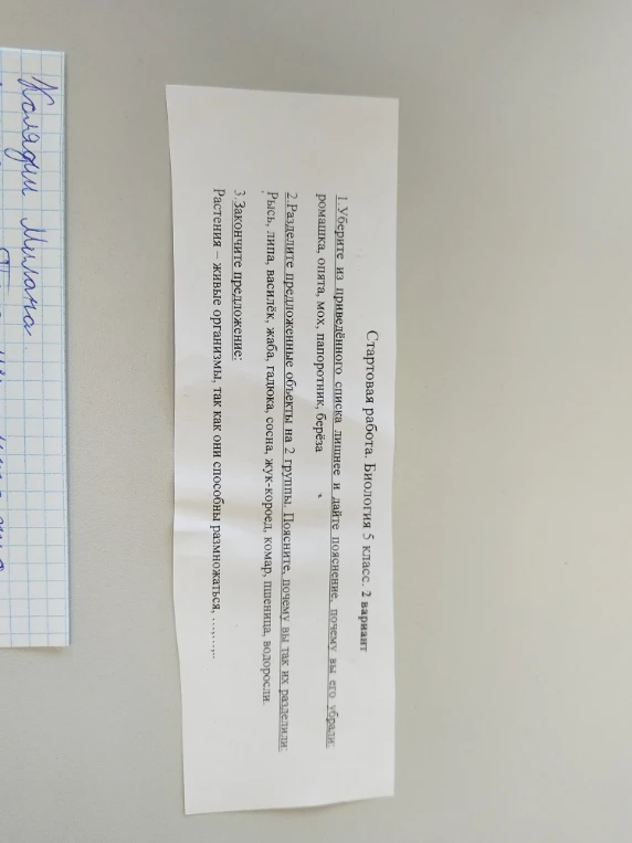 1.Уберите из приведённого списка лишнее и дайте пояснение, почему вы его убрали: ромашка, опята, мох, папоротник, берёза