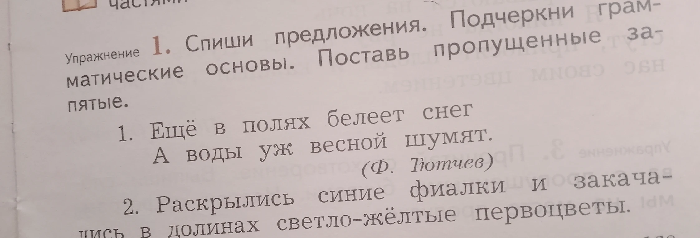 Спиши предложения. Подчеркни грамматические основы. Поставь пропущенные запятые.
