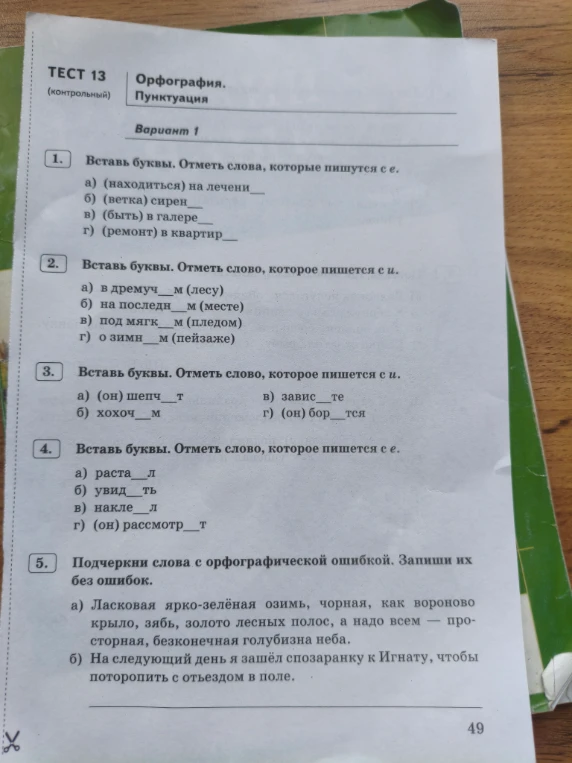 ТЕСТ 13 Орфография. Пунктуация