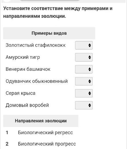 Установите соответствие между примерами и направлениями эволюции.