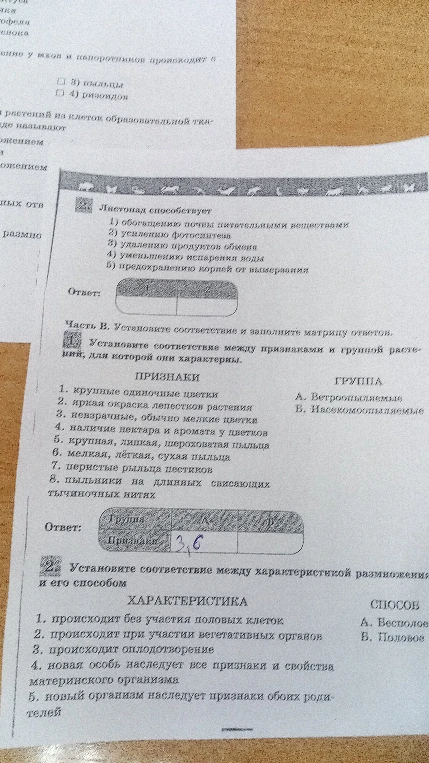 Листопад способствует: 1) обогащению почвы питательными веществами 2) усилению фотосинтеза 3) удалению продуктов обмена 4) уменьшению испарения воды 5) предохранению корней от вымерзания