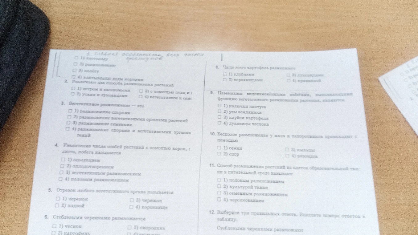 Главная особенность всех живых организмов
