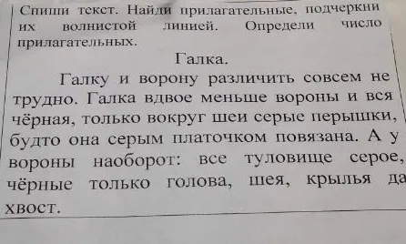 Спиши текст. Найди прилагательные, подчеркни их волнистой линией. Определи число прилагательных.