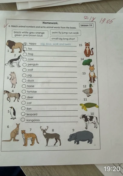 Match animal numbers and write animal words from the boxes.