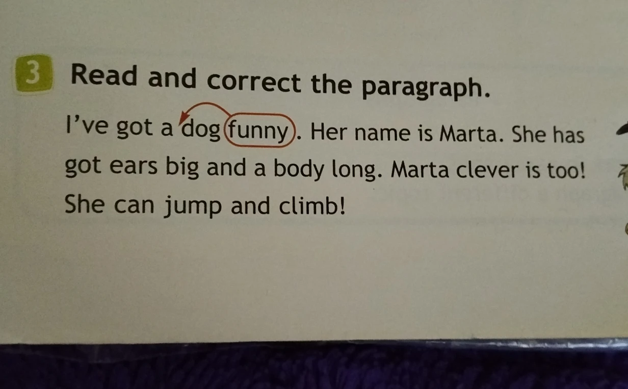 Read and correct the paragraph.
