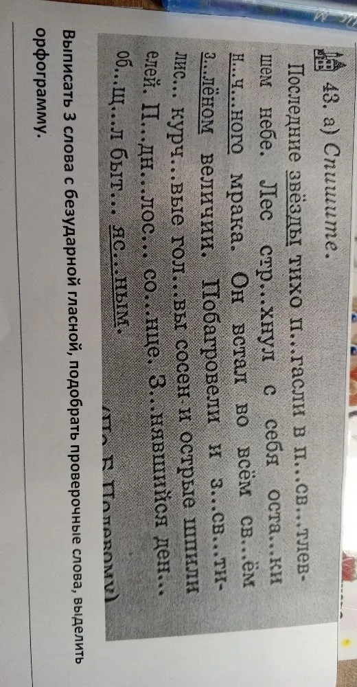 Спишите. Последние звёзды тихо п...гасли в п...св...тлевшем небе.
