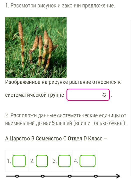 1. Рассмотри рисунок и закончи предложение.