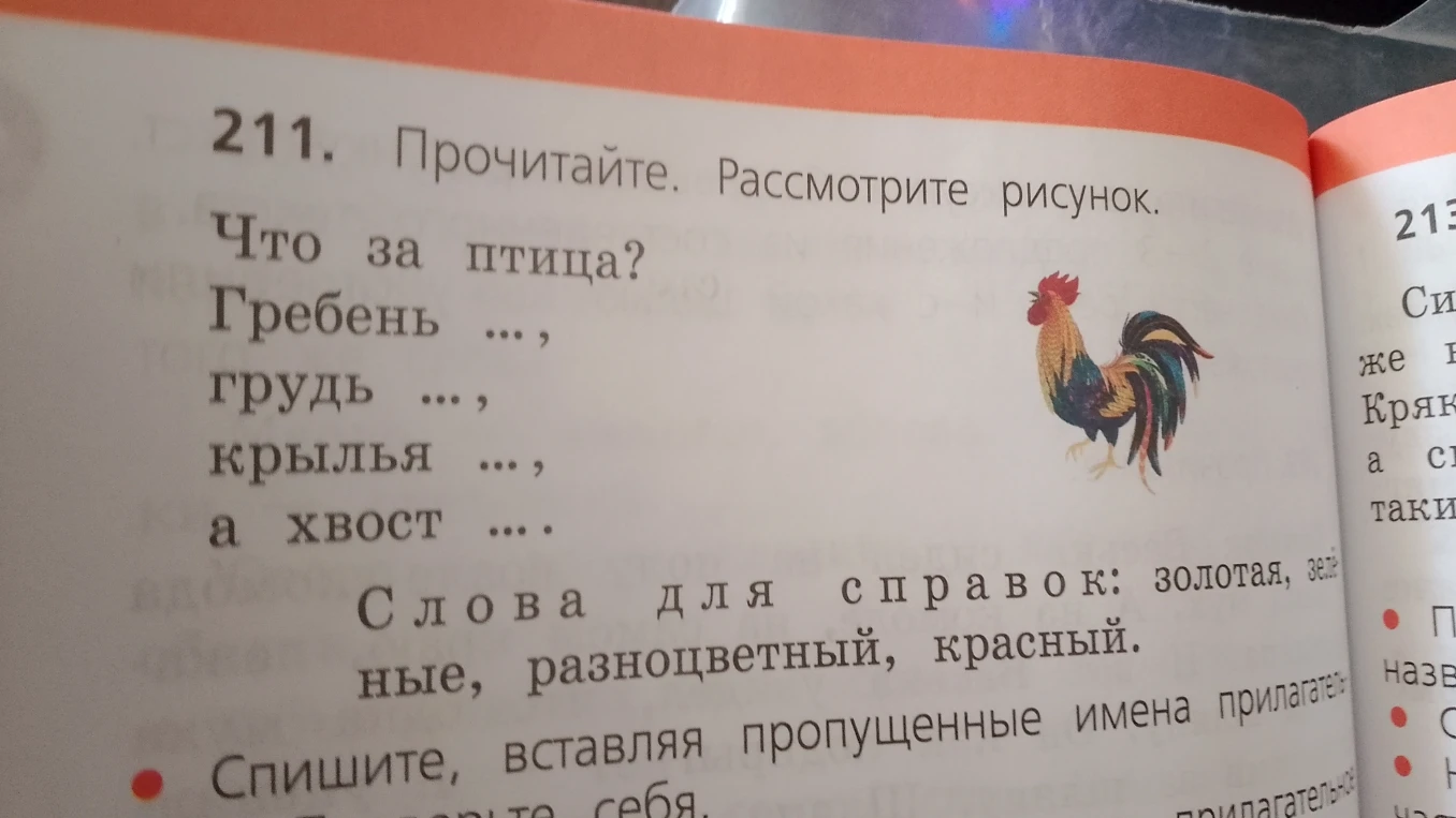 211. Прочитайте. Рассмотрите рисунок. Что за птица? Гребень ..., грудь ..., крылья ..., а хвост ....