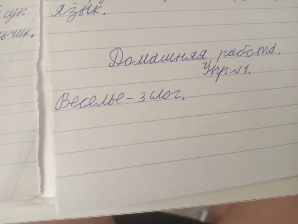 Домашняя работа. Упр. №1. Веселье - 3 слога.