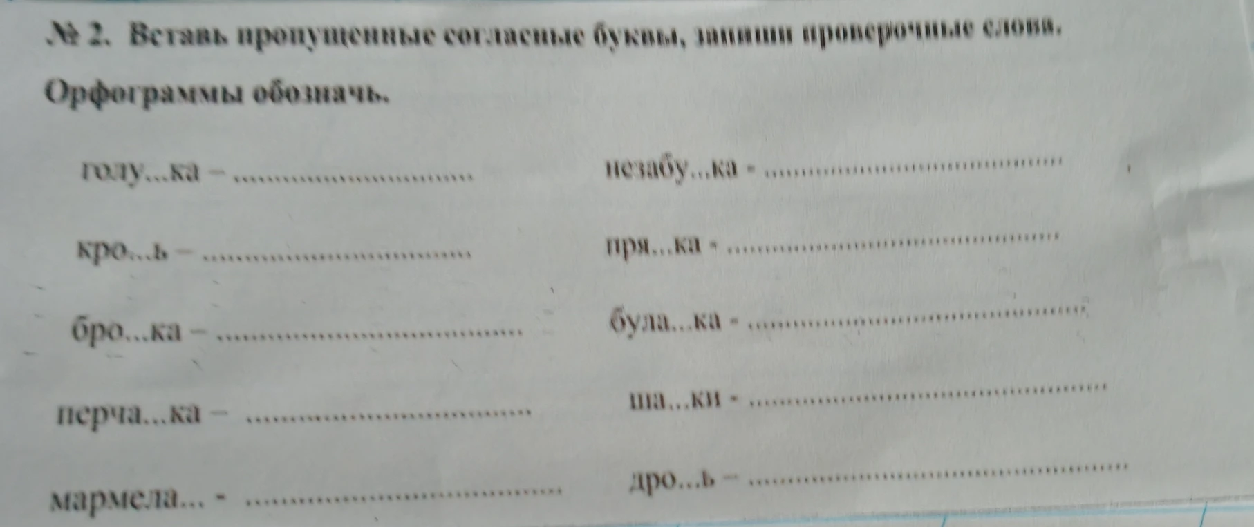 № 2. Вставь пропущенные согласные буквы, запиши проверочные слова. Орфограммы обозначь.