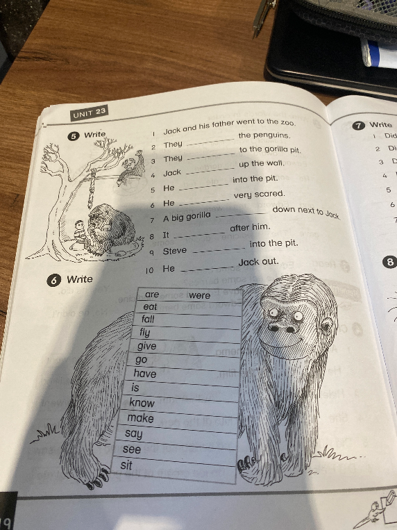 1 Jack and his father went to the zoo. 1 They the penguins. 2 They to the gorilla pit. 3 They up the wall. 4 Jack into the pit. 5 He very scared. 6 He down next to Jack. 7 A big gorilla after him. 8 It after him. 9 Steve into the pit. 10 He Jack out.