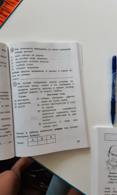 10. Чем отличается вертишейка от своих сородичей отряда дятлов?