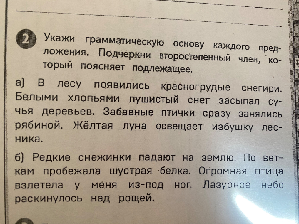 Укажи грамматическую основу каждого предложения. Подчеркни второстепенный член, который поясняет подлежащее.