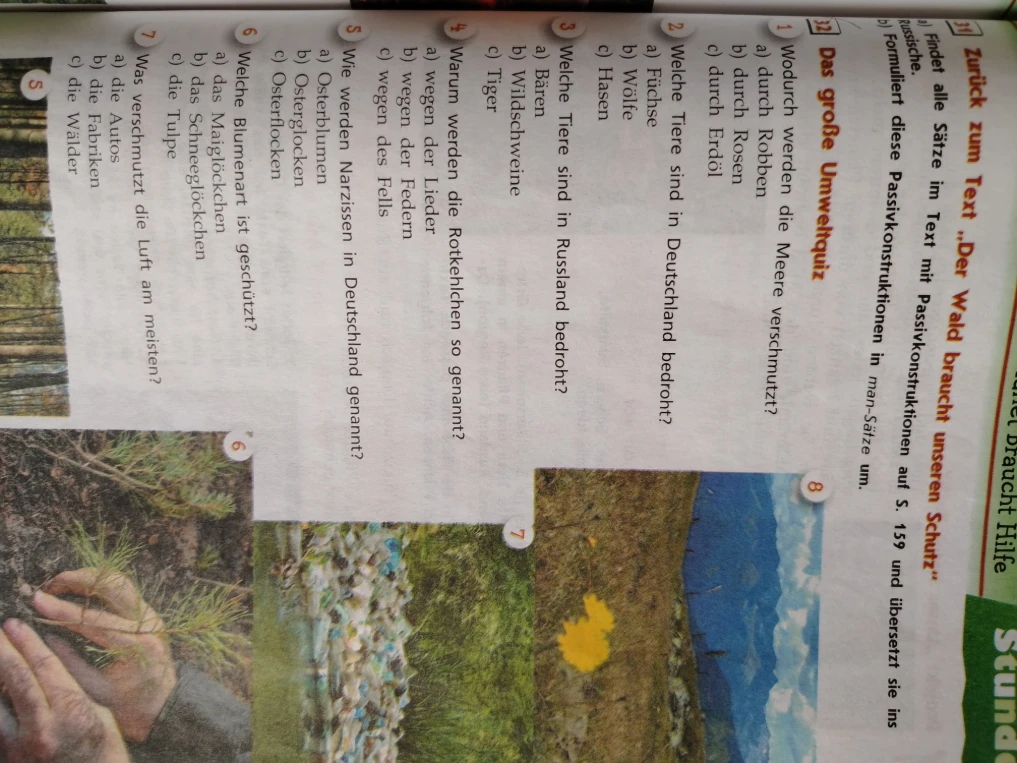 Das große Umweltquiz