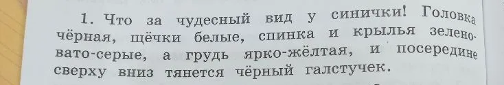 1. Что за чудесный вид у синички! Головка чёрная, щёчки белые, спинка и крылья зеленовато-серые, а грудь ярко-жёлтая, и посередине сверху вниз тянется чёрный галстучек.