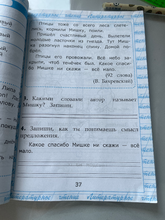 3. Какими словами автор называет Мишку? Запиши.