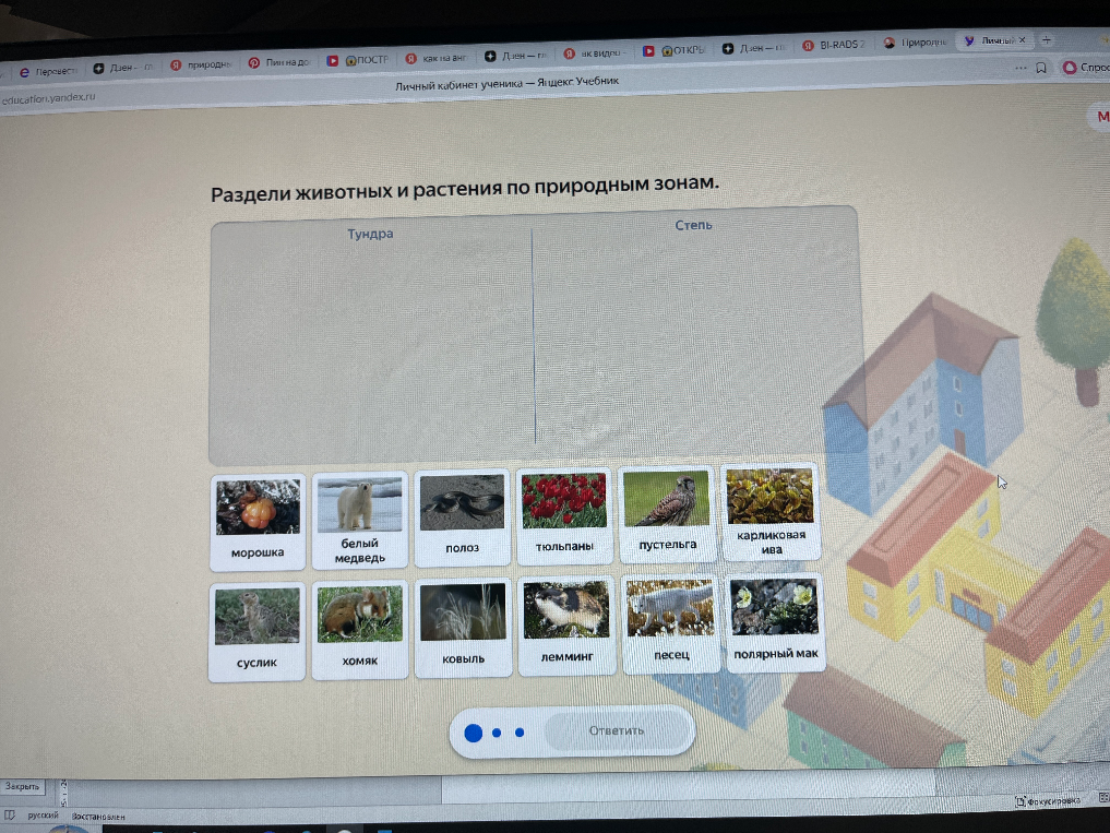 Раздели животных и растения по природным зонам.