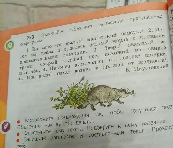 253. Прочитайте. Объясните написание пропущенных орфограмм. 1. Из зарослей выл..з.. маленький барсук.