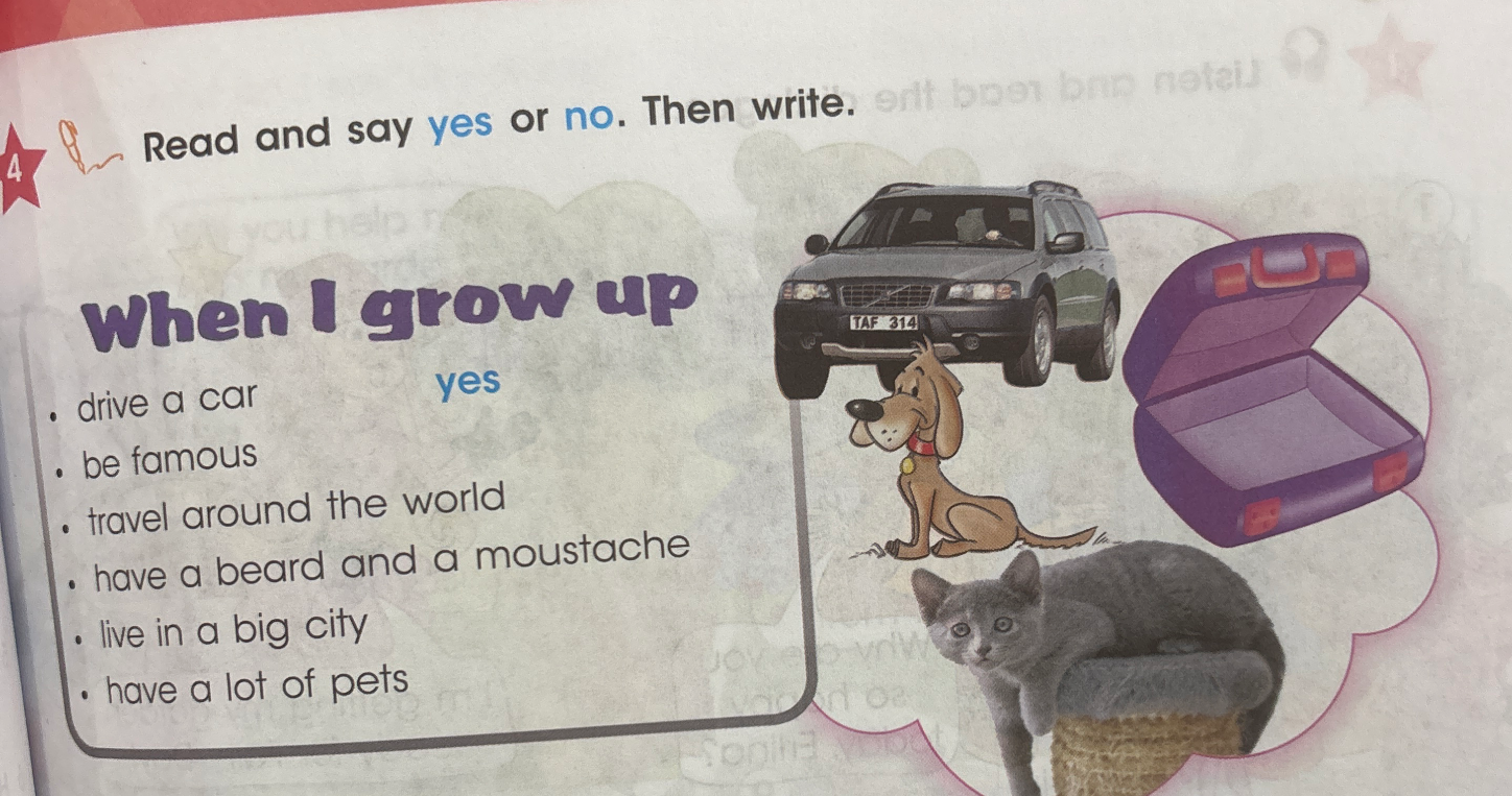 Read and say yes or no. Then write.