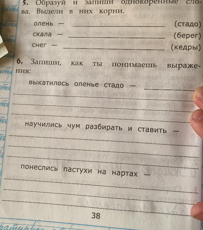 5. Образуй и запиши однокоренные слова. Выдели в них корни.