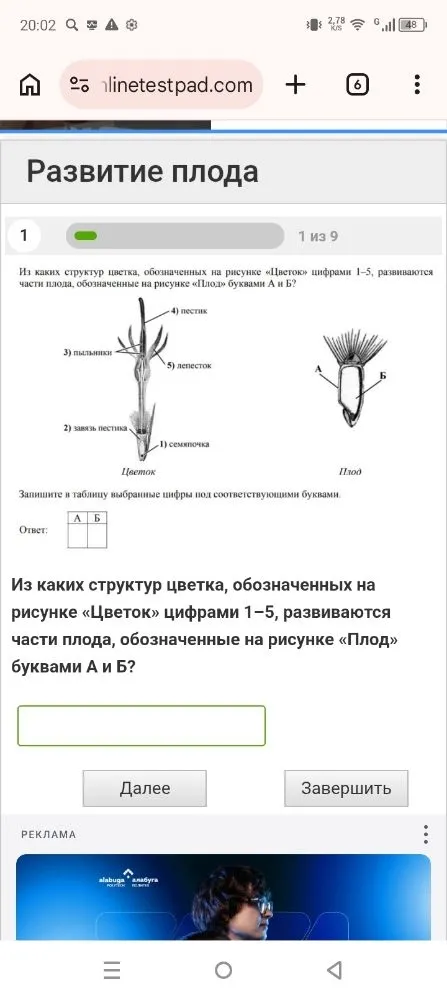 Из каких структур цветка, обозначенных на рисунке «Цветок» цифрами 1–5, развиваются части плода, обозначенные на рисунке «Плод» буквами А и Б?