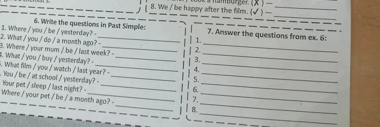 6. Write the questions in Past Simple: