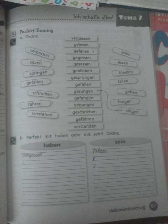 11. Perfekt-Training a. Ordne.