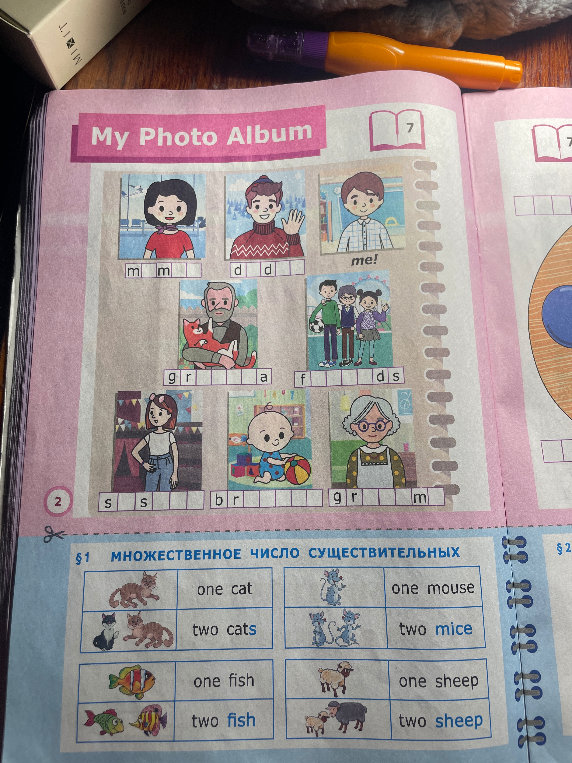My Photo Album
МНОЖЕСТВЕННОЕ ЧИСЛО СУЩЕСТВИТЕЛЬНЫХ