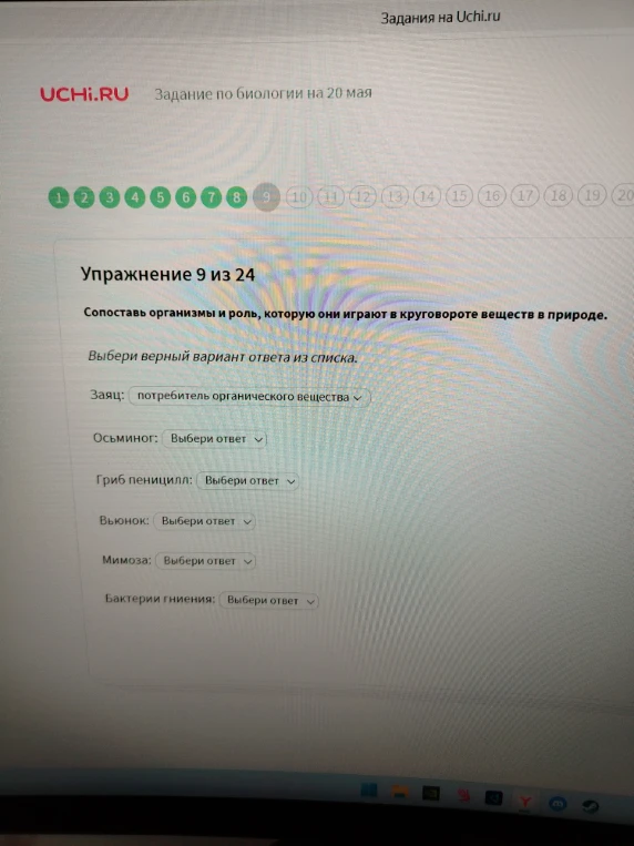 Сопоставь организмы и роль, которую они играют в круговороте веществ в природе.