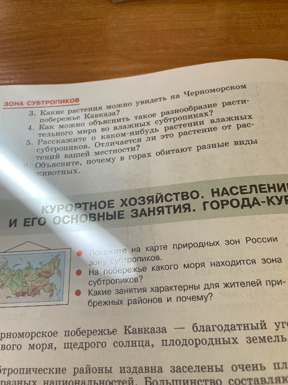 3. Какие растения можно увидеть на Черноморском побережье Кавказа?