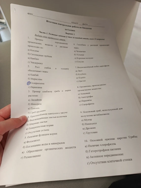 Итоговая контрольная работа по биологии за 6 класс. Вариант 1