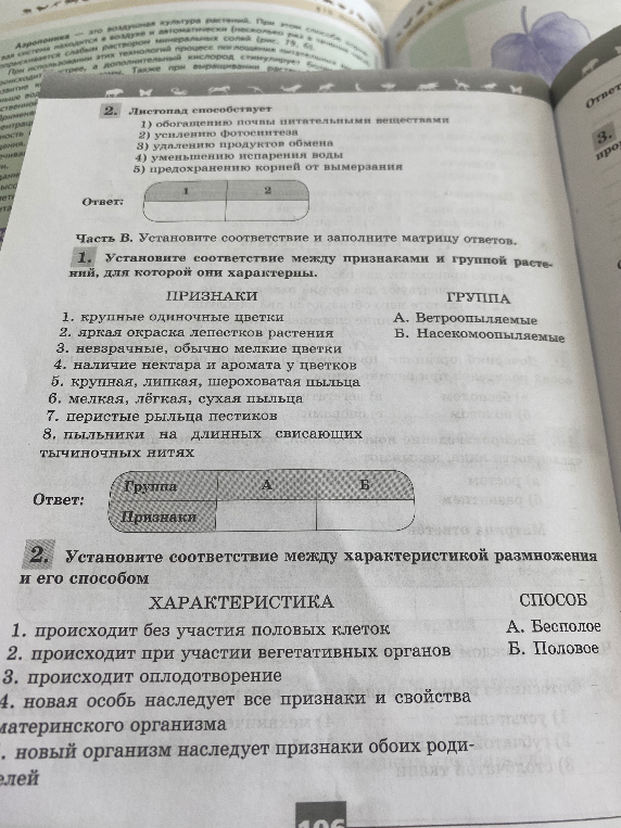 Листопад способствует...