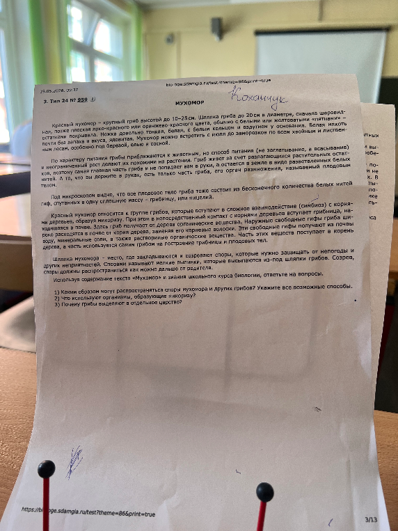 Используя содержание текста «Мухомор» и знания школьного курса биологии, ответьте на вопросы.
