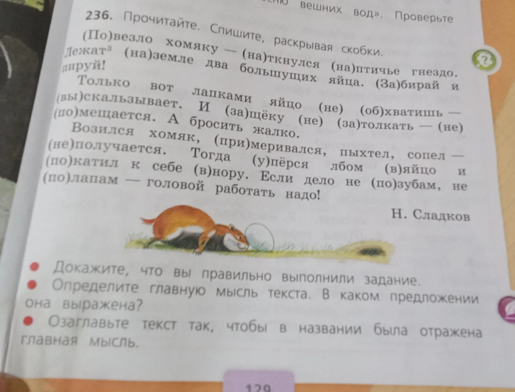 236. Прочитайте. Спишите, раскрывая скобки. (По)везло хомяку — (на)ткнулся (на)птичье гнездо. Лежат (на)земле два большущих яйца. (За)бирай и пируй!