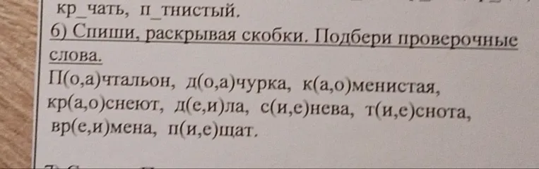 6) Спиши, раскрывая скобки. Подбери проверочные слова.